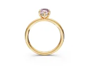 Hidden Halo Engagement Ring Setting for Fancy Pink Marquise Center with Thin Rounded Band and Prong Head in Yellow Gold