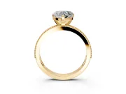 Milgrain Pave Engagement Ring Setting for Heart-Shaped Center with Accent Band and Prong Head in Yellow Gold