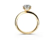 Solitaire Engagement Ring Setting for Round Cut Center with Fine Pave Band and Prong Head in Yellow Gold