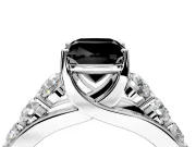 Solitaire Engagement Ring Setting for Fancy Black Cushion Cut Center with Graduated Shared Prongs and Prong Head in White Gold