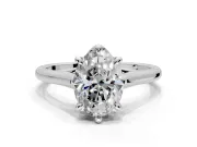 Solitaire Engagement Ring Setting for Oval Center with Cathedral Band and Prong Head in Platinum