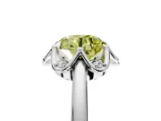 Floral Frame Engagement Ring Setting for Fancy Yellow Round Cut Center with Accent Clusters and Prong Head in White Gold