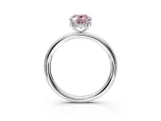 Hidden Halo Engagement Ring Setting for Fancy Pink Oval Center with Thin Rounded Band and Prong Head in Platinum