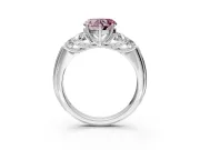 Cluster Engagement Ring Setting for Fancy Pink Heart-Shaped Center with Round Cut Accent Frame and Prong Head in White Gold