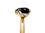 Hidden Halo Engagement Ring Setting for Fancy Black Heart-Shaped Center with Thin Rounded Band and Prong Head in Yellow Gold